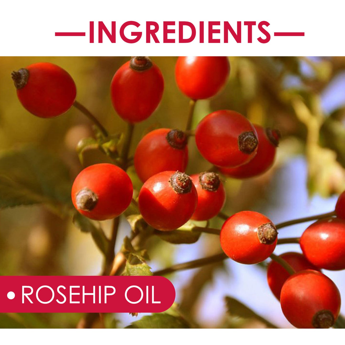 Rosehip Glow Facial Oil – Cupping & Skin Ritual (30ml)