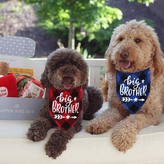 Pregnancy Notice For Pet Triangle Scarf Dog