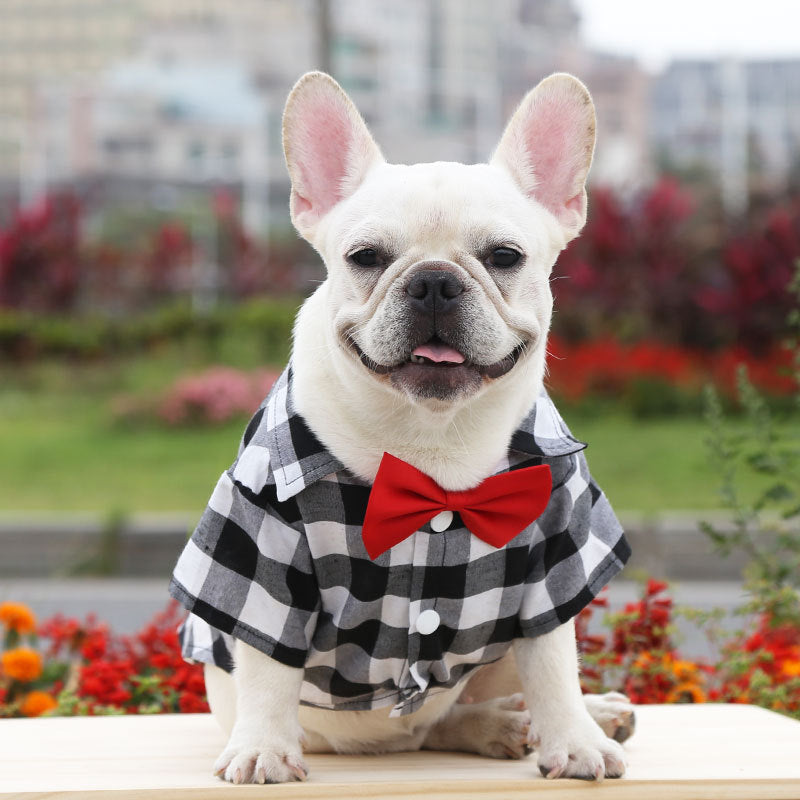Dog Plaid Shirt – Classic Checkered Outfit for Small to Large Dogs